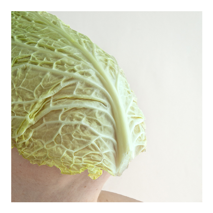 cabbage